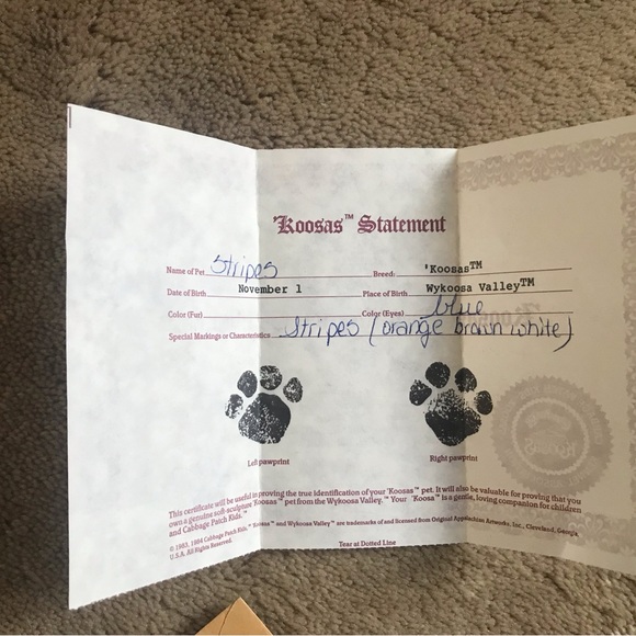 cabbage patch kids koosas 1983 cat - Picture 15 of 16